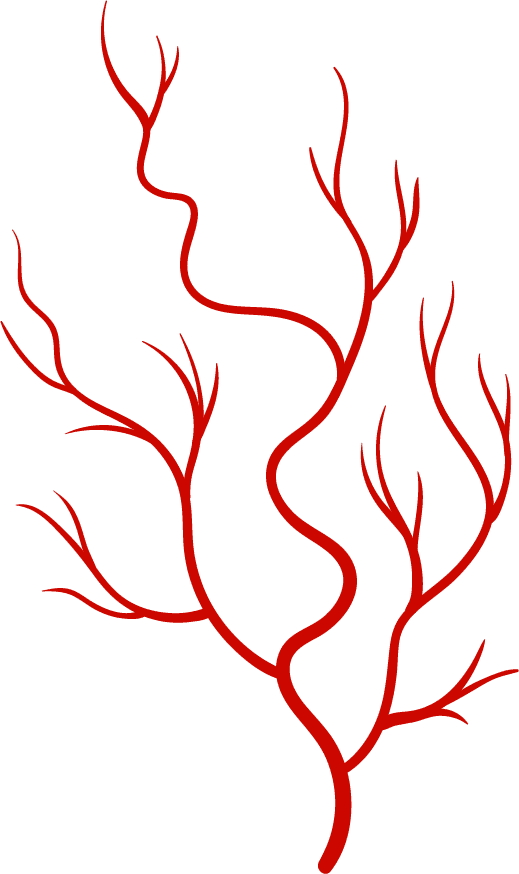 Veins 1