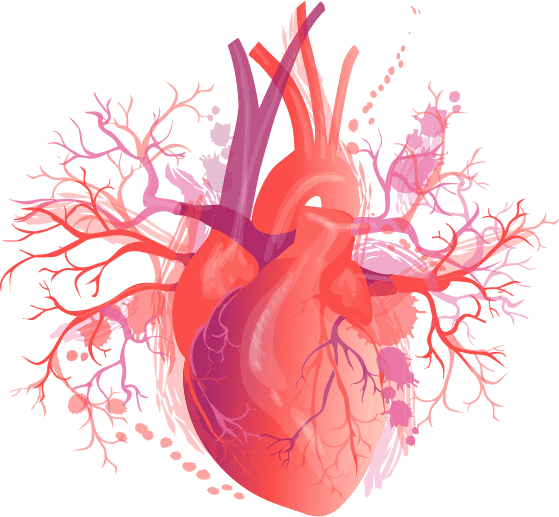 inima vector